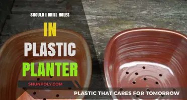 Drilling Holes in Plastic Planters: Good Idea or Not?