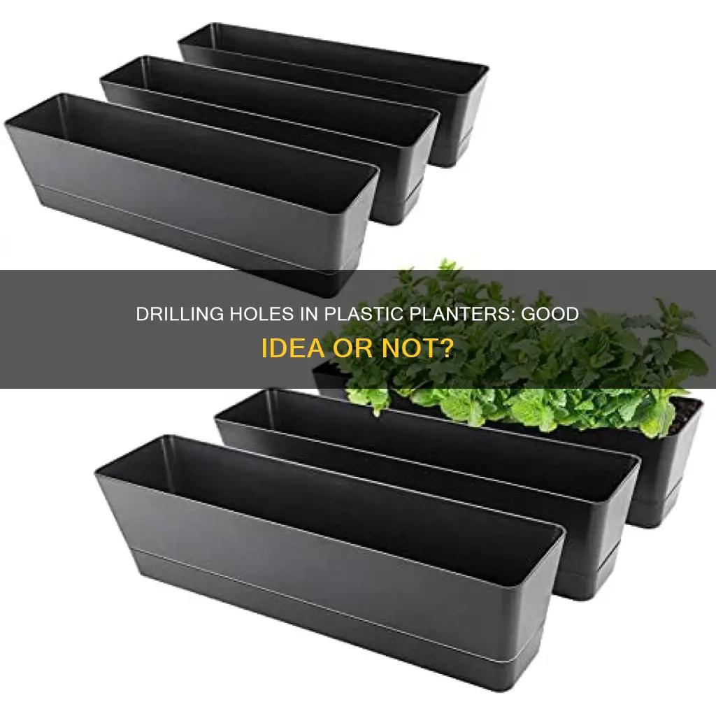 should i drill holes in plastic planter