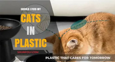 Plastic Cat Bowls: Safe or Not?