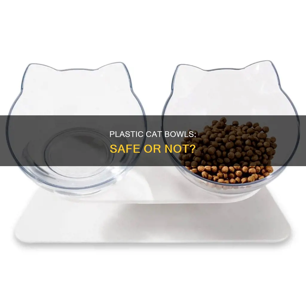 should i feed my cats in plastic