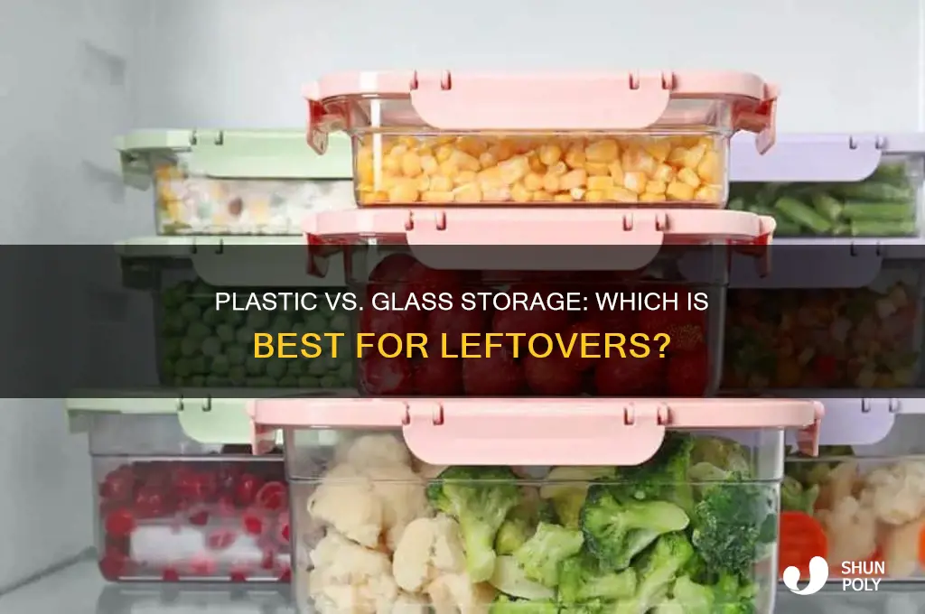 should i get plastic or glass storage for leftovers