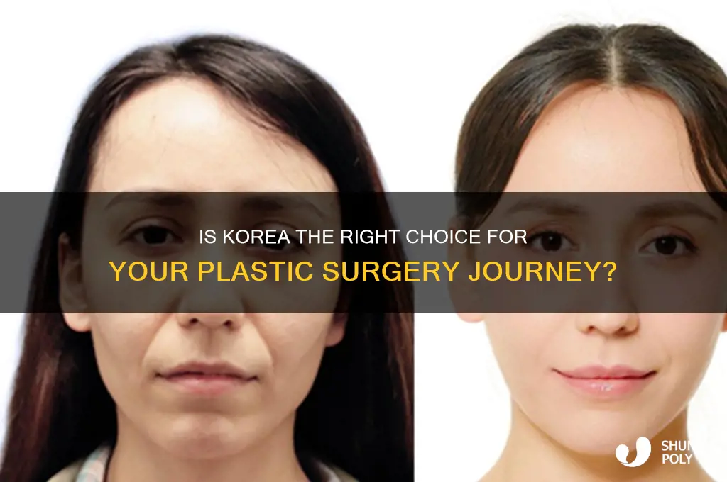 should i go to korea for plastic surgery