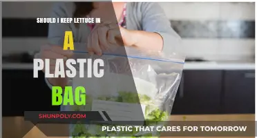 Should You Store Lettuce in Plastic Bags? Pros and Cons Explained