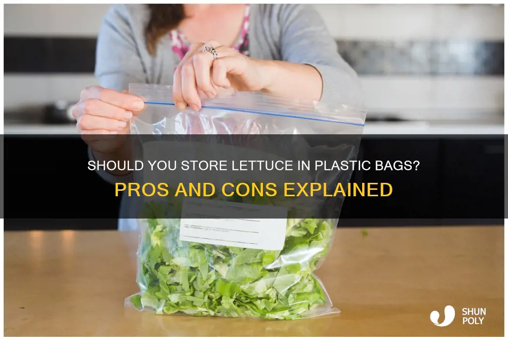 should i keep lettuce in a plastic bag