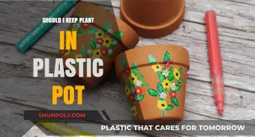 Plastic Pots: Good or Bad for Plants?