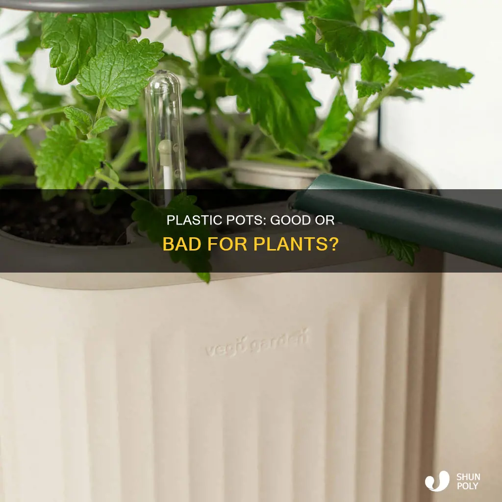 should i keep plant in plastic pot