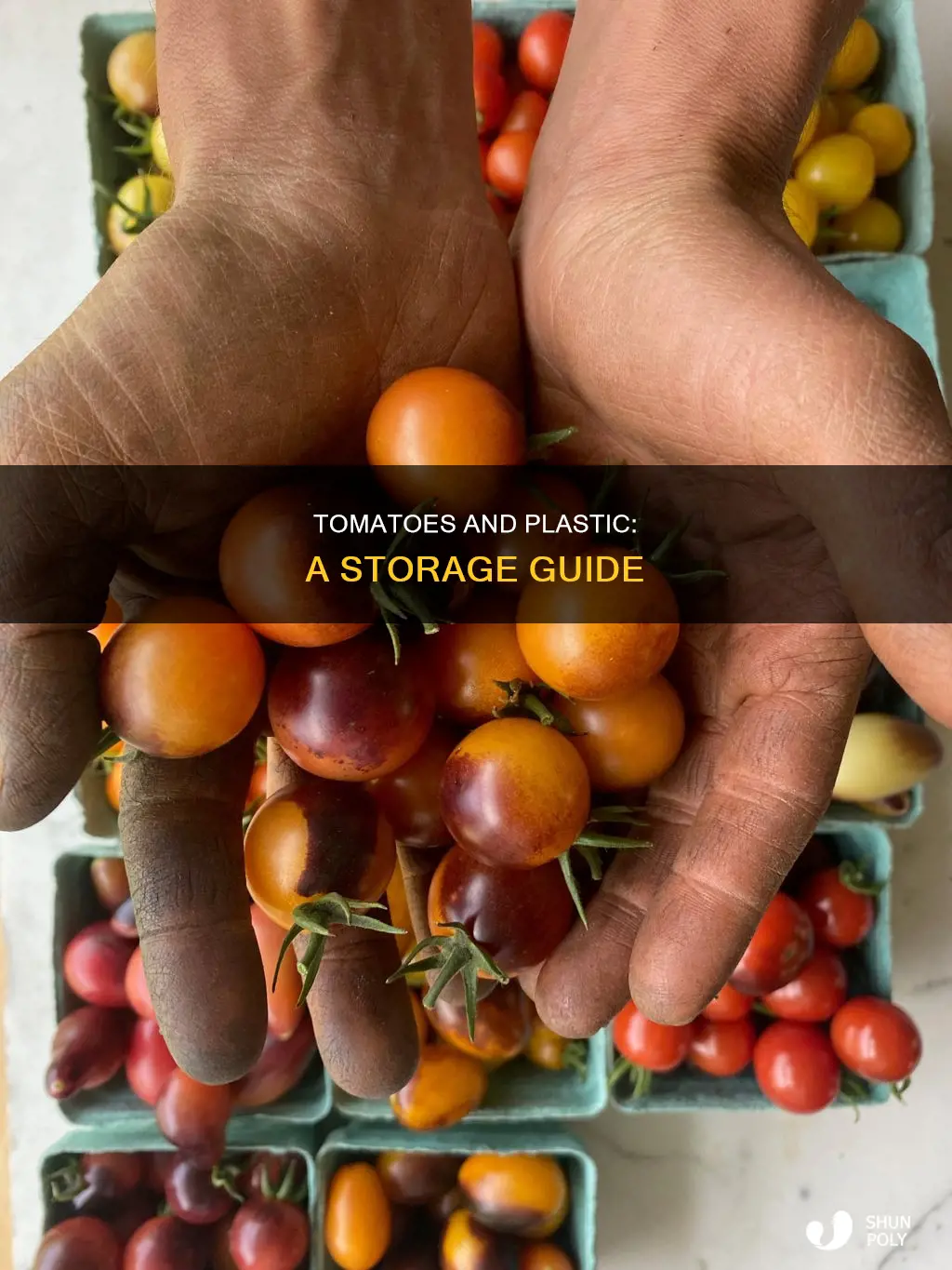 should i keep tomatoes in plastic