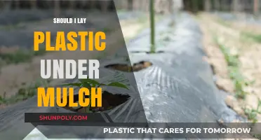 Pros and Cons of Plastic Sheeting Under Mulch