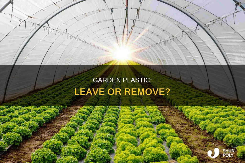 should i leave plastic down in garden