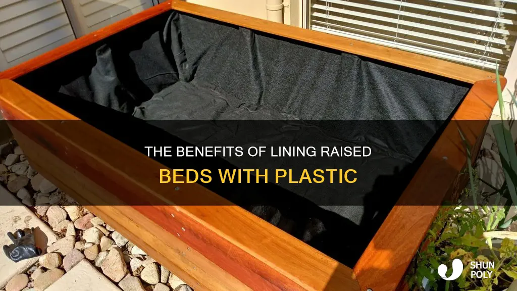 should i line raised beds with plastic