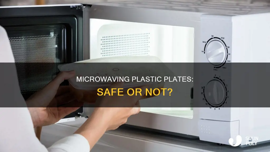 should i microwave with a plastic plate