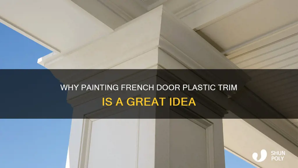 should i paint the plastic trim on my french door