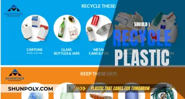 Plastic Recycling: A Guide to Environmental Impact and Action