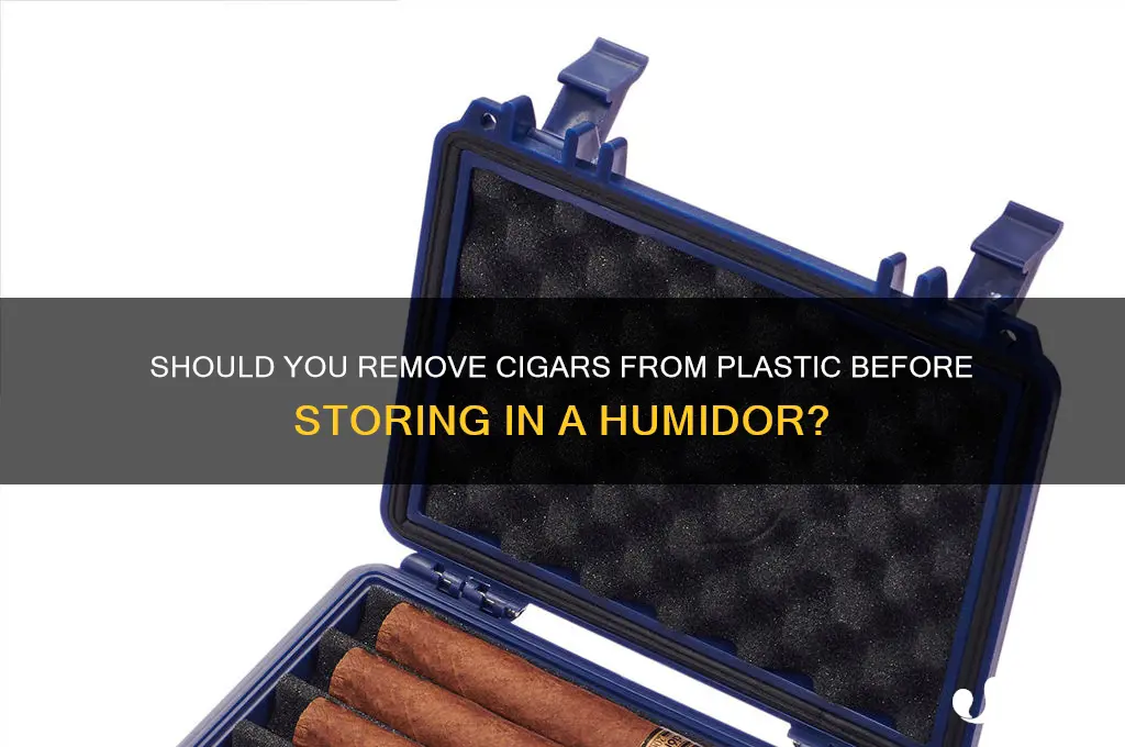 should i remove cigars from plastic vefore humidor