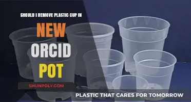 Should You Remove the Plastic Cup from Your New Orchid Pot?