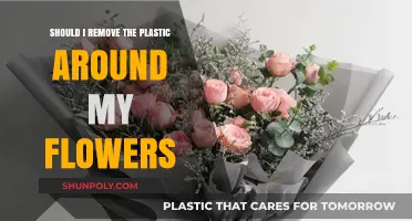 To Remove or Not: The Plastic Wrap Around Your Flowers