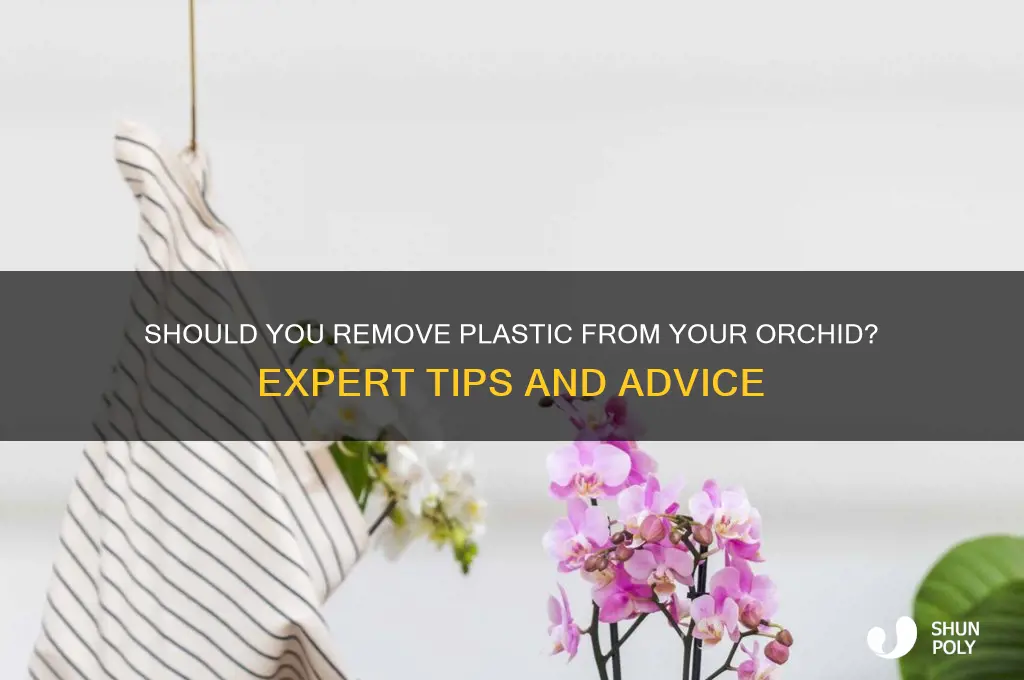 should i remove the plastic from my orchid