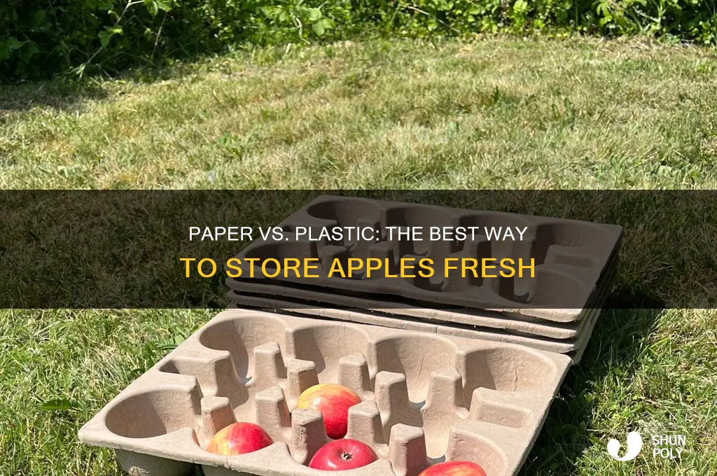 should i store apples in paper or plastic bag