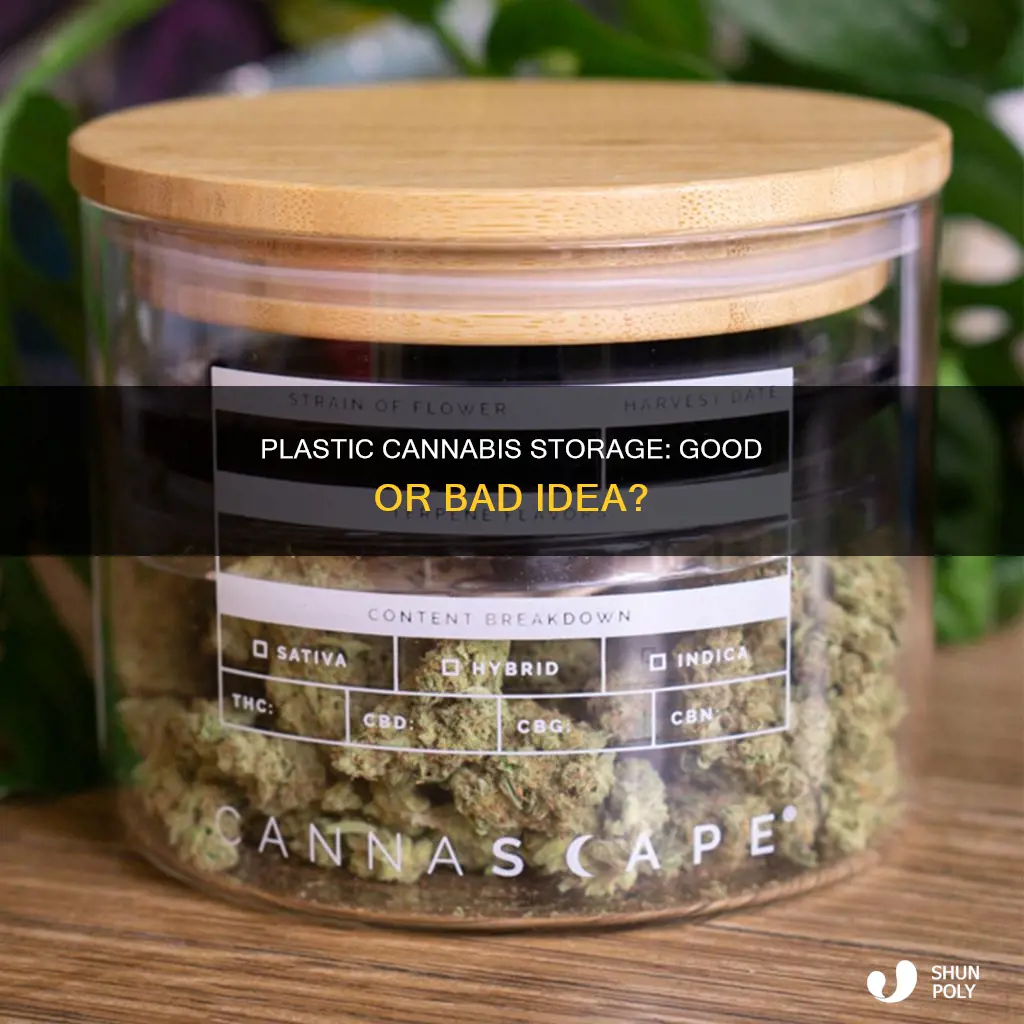 should i store cannibis in the plastic container