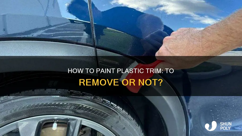should i take off plastic trim before painting