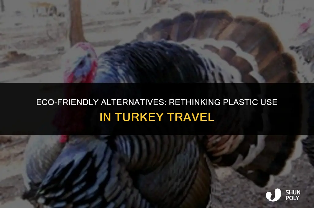 should i take plastic thing iff turkey
