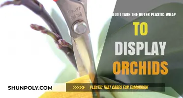 Unveiling Orchids: To Wrap or Not to Wrap for Display