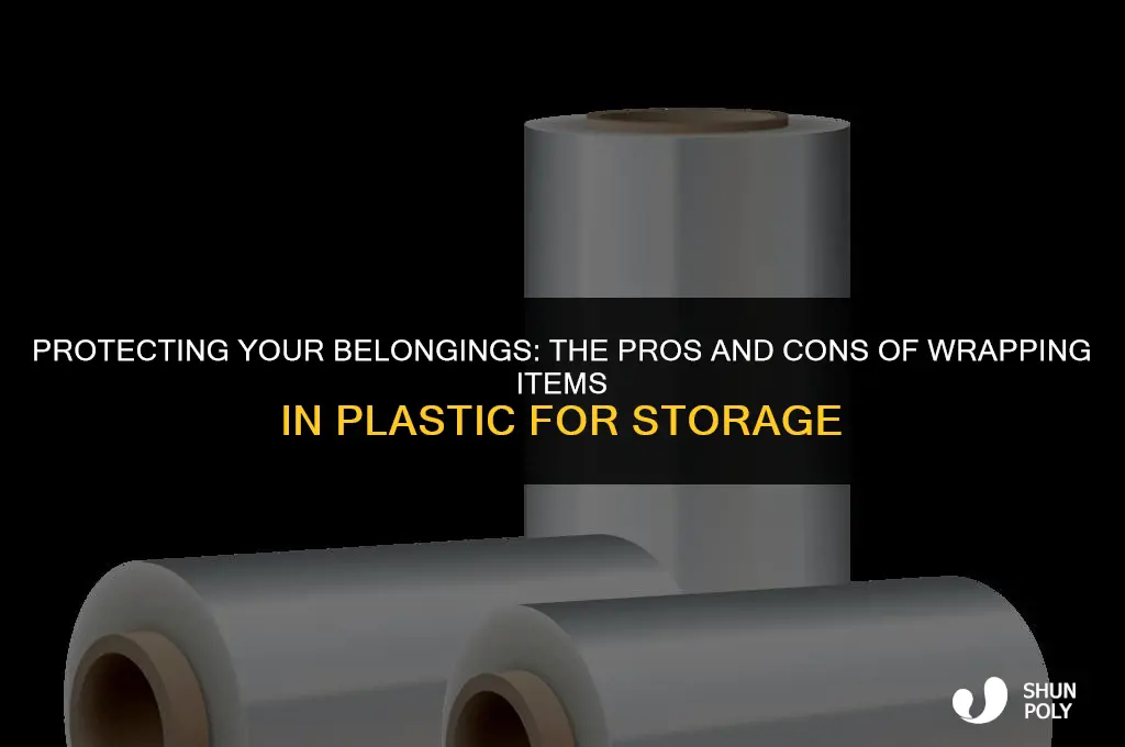 should i wrap items for staorage unit in plastic