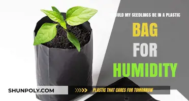 Should Seedlings Stay in Plastic Bags for Humidity? Pros and Cons