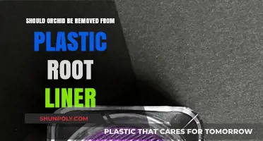 Should You Remove Orchids from Plastic Root Liners? Pros and Cons