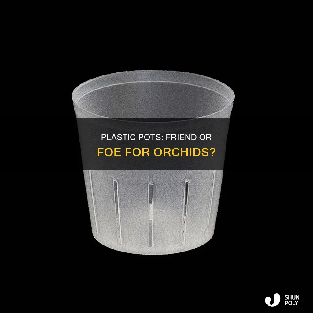 should orchids be in plastic pots