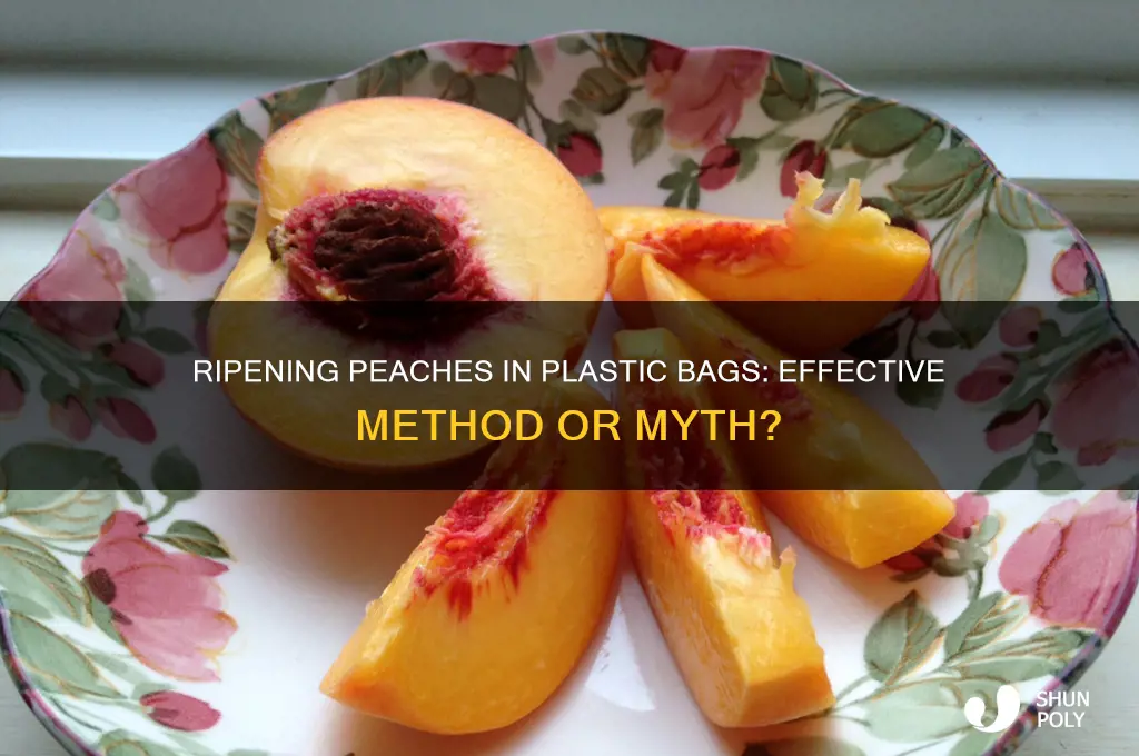 should peaxhes ripen in plastic bag