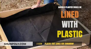 The Benefits of Plastic Liners in Planter Boxes