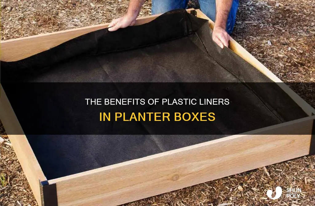 should planter boxes be lined with plastic