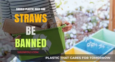 Banning Plastic Bags and Straws: Environmental Necessity or Overreach?