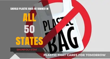Should Plastic Bags Be Banned Nationwide? Pros, Cons, and Impact