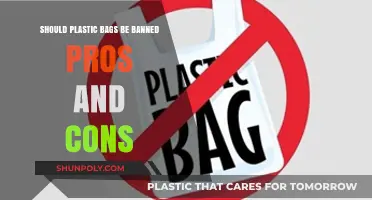 Plastic Bag Bans: Weighing Environmental Benefits Against Practical Challenges