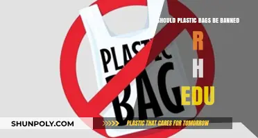 Should Plastic Bags Be Banned? Environmental Impact and Educational Insights