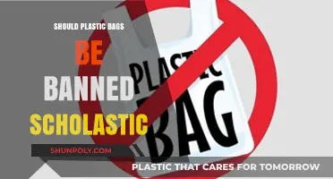 Should Plastic Bags Be Banned? Scholastic Debate on Environmental Impact