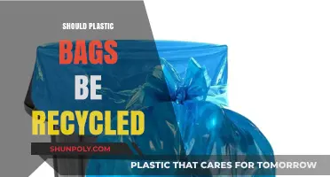 Recycling Plastic Bags: Environmental Necessity or Misguided Effort?