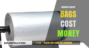 Should Plastic Bags Cost Money? Exploring the Environmental and Economic Impact