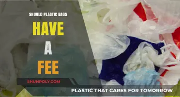 Should Plastic Bags Cost Extra? Pros, Cons, and Environmental Impact