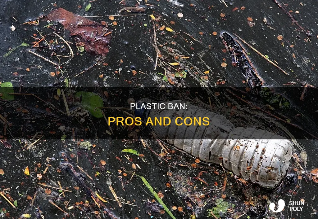 should plastic be banned and why