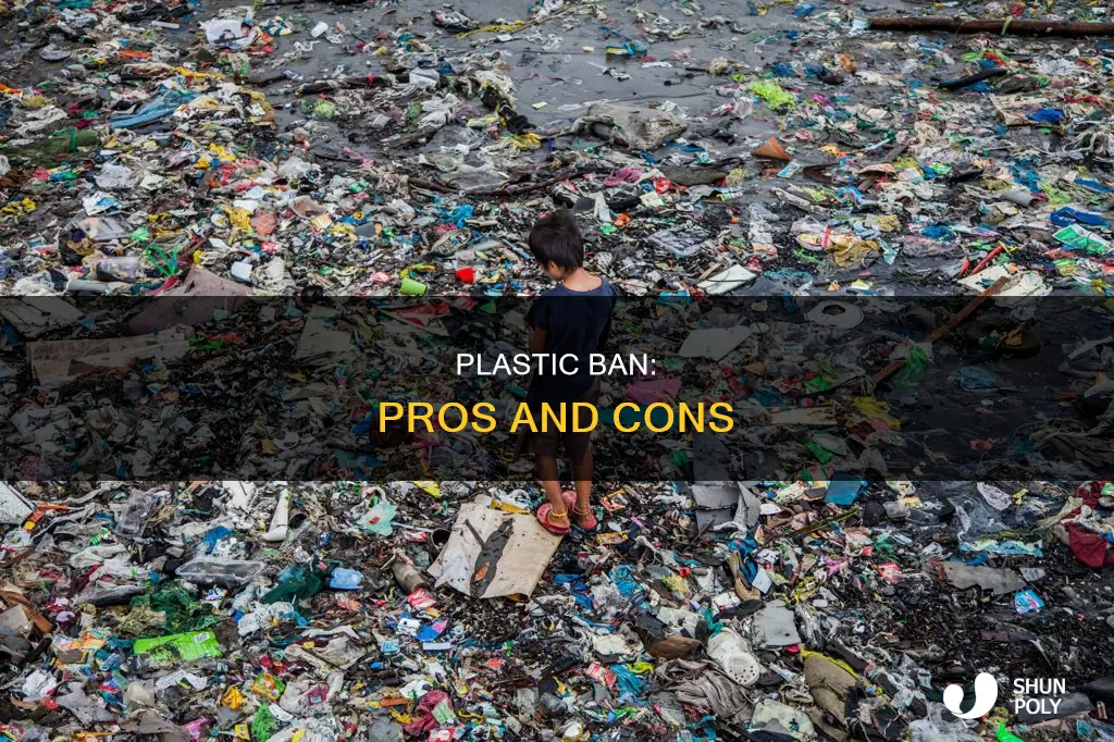 should plastic be banned argumentative essay