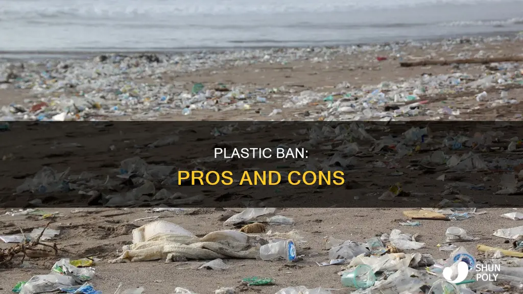 should plastic be banned balanced argument