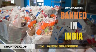 India's Plastic Ban: Pros, Cons, and Future