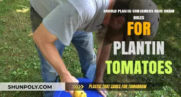 Drain Holes: Are Plastic Containers Good for Tomato Plants?