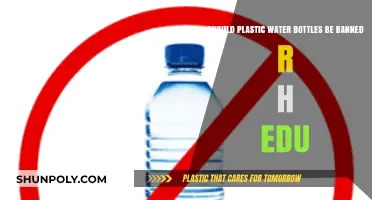 Should Plastic Water Bottles Be Banned? Exploring Environmental and Educational Perspectives