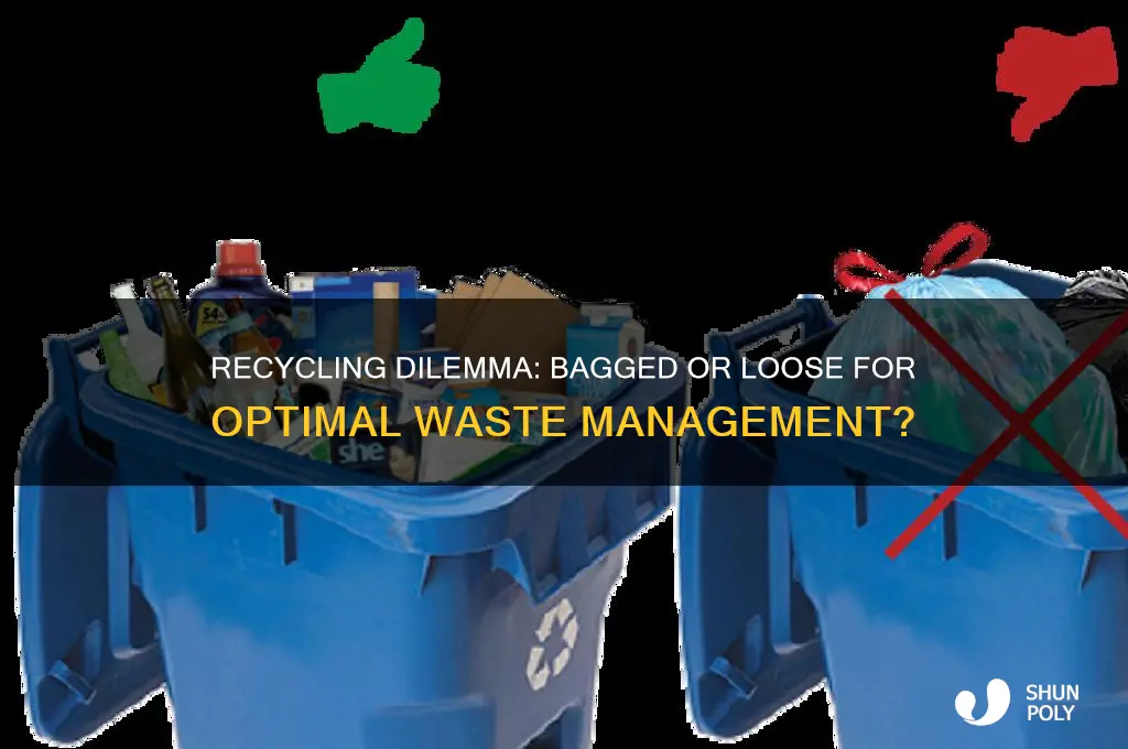 should recycle be in large plastic bags or loose