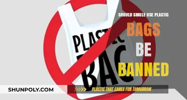 Banning Single-Use Plastic Bags: Environmental Necessity or Overreach?