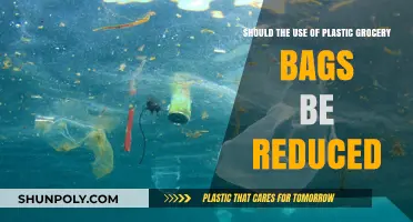 Reducing Plastic Grocery Bags: A Sustainable Choice for Our Planet